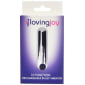 Loving Joy 10 Function Rechargeable Bullet Vibrator Silver