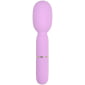 Nauti Petites 10 Speed Wand Vibrator