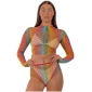 Lace by LJ Rainbow Fence Net Crop Top and Bottoms